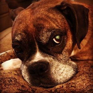 Meet your Posher, Pamela